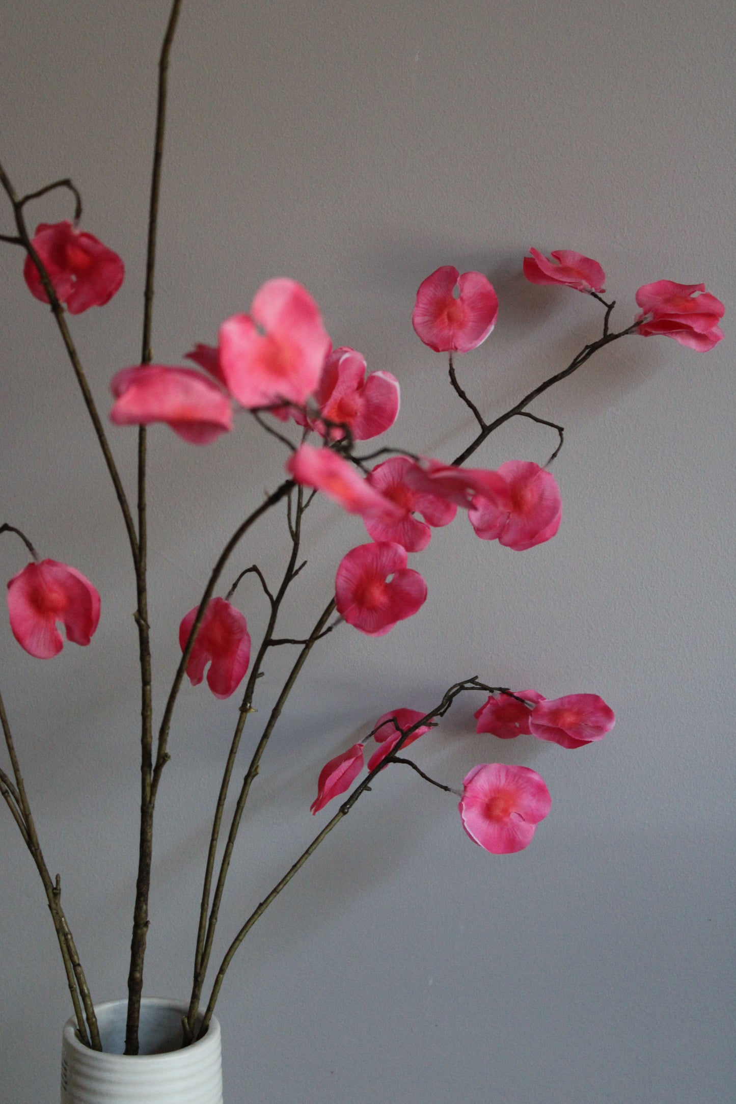 SWEET PEA | FUCHSIA | 138 CM