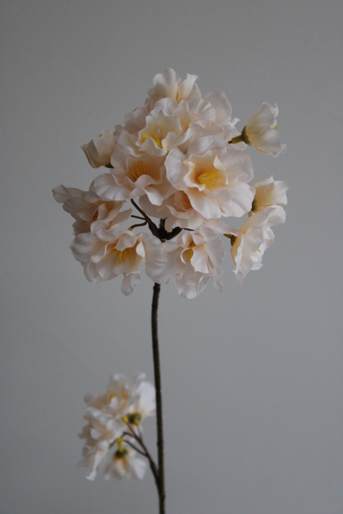 BLOESEMTAK | BEIGE | 92CM