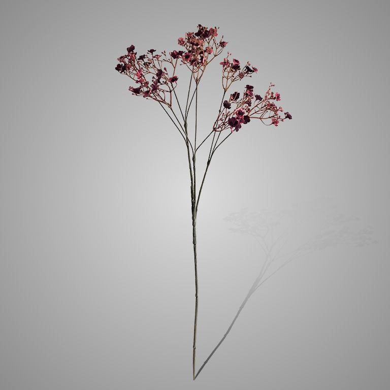 GYPSOPHILA | BURGUNDY