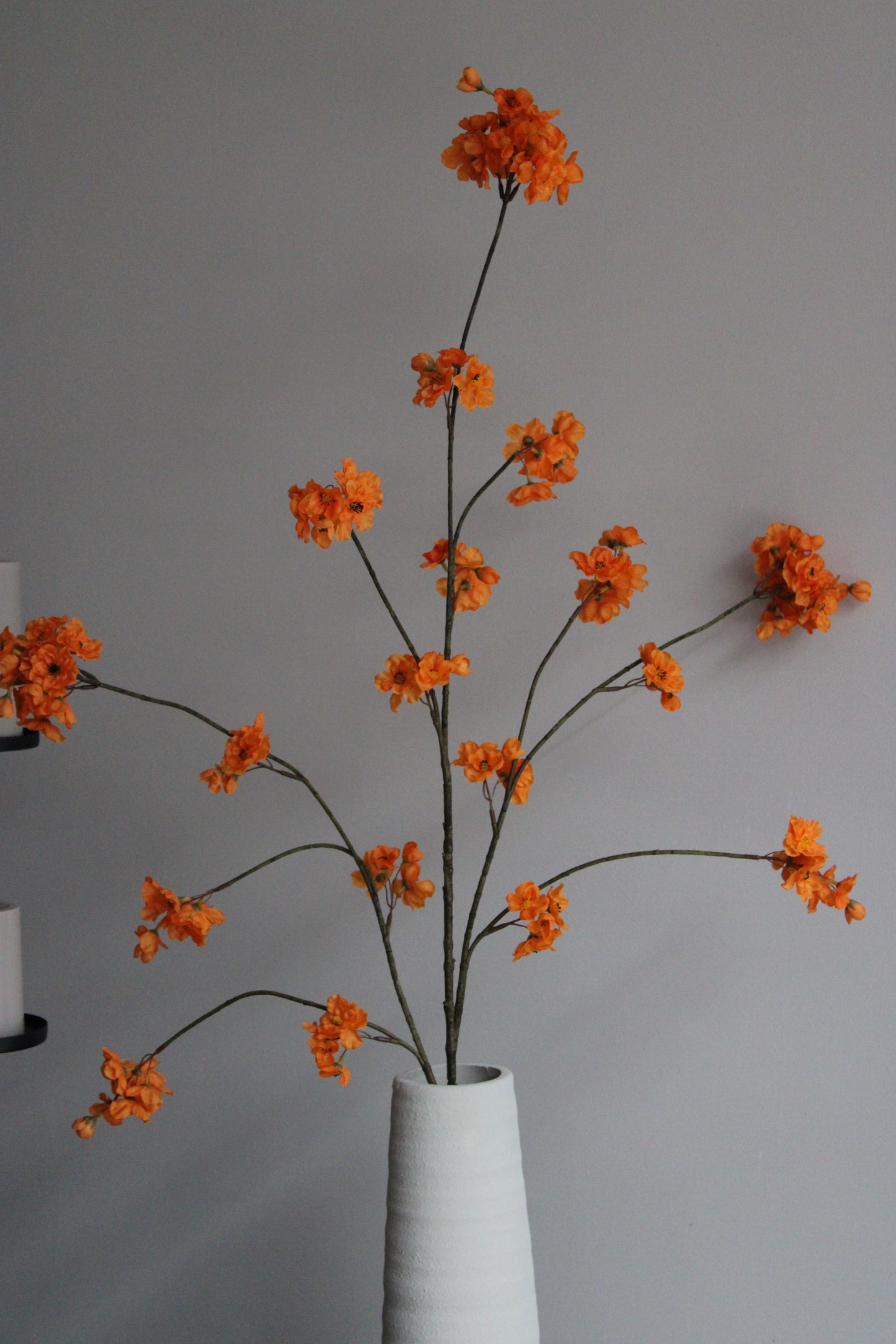 XL  BLOESEMTAK | ORANJE | 126CM