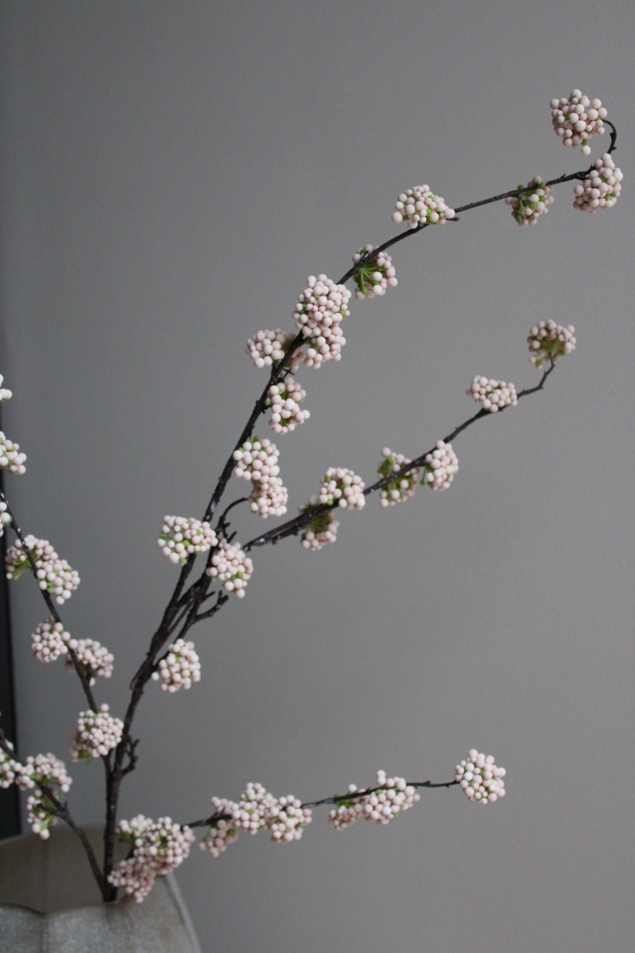 BESSENTAK | CALLICARPA| BEIGE