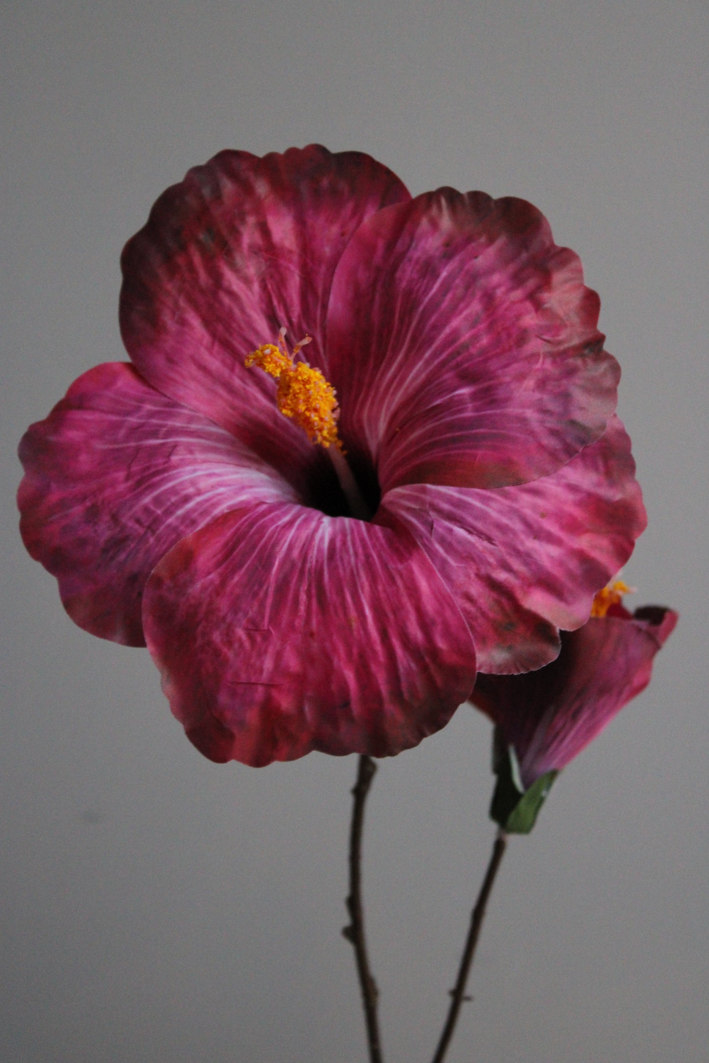 ZIJDEBLOEM | FUCHSIA | XL HIBISCUS