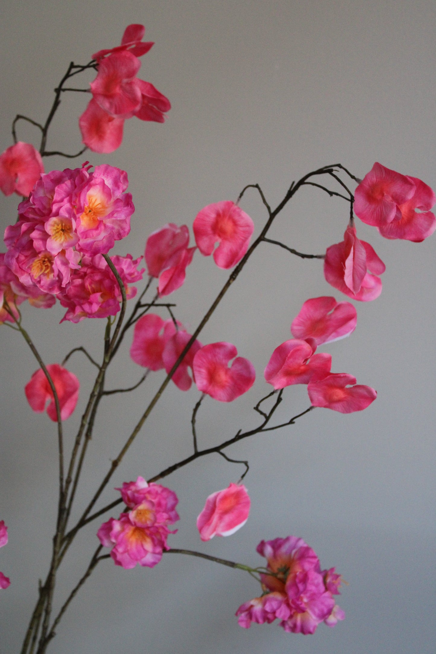SWEET PEA | FUCHSIA | 138 CM