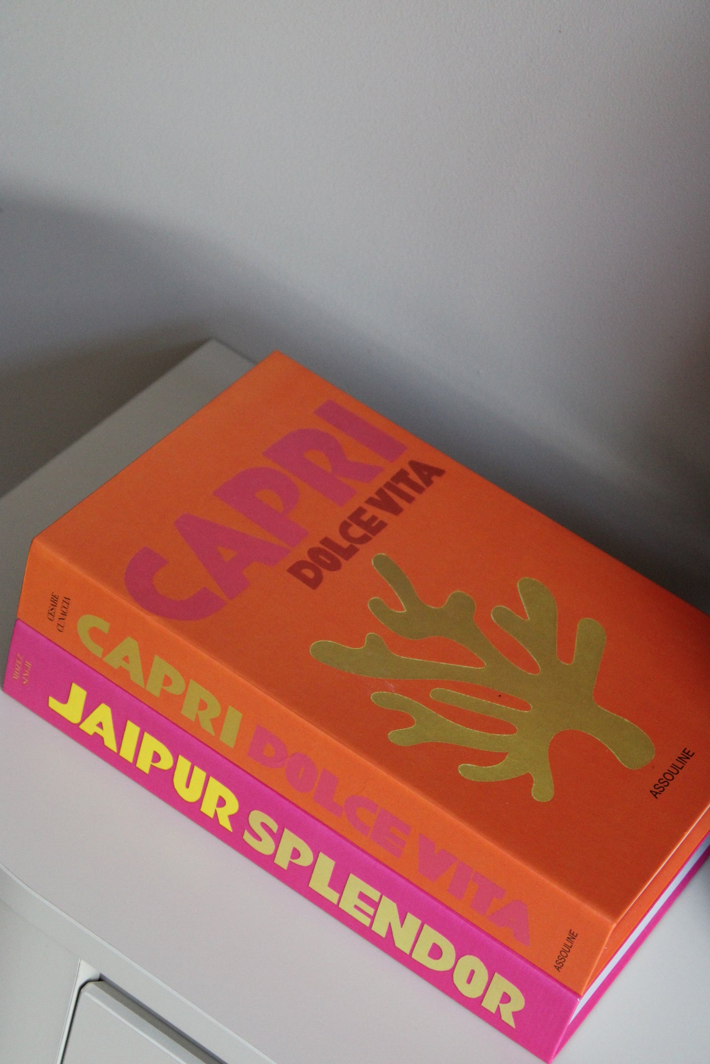 DECORATIEF BOEK | ORANJE \ FUCHSIA | PRE - ORDER