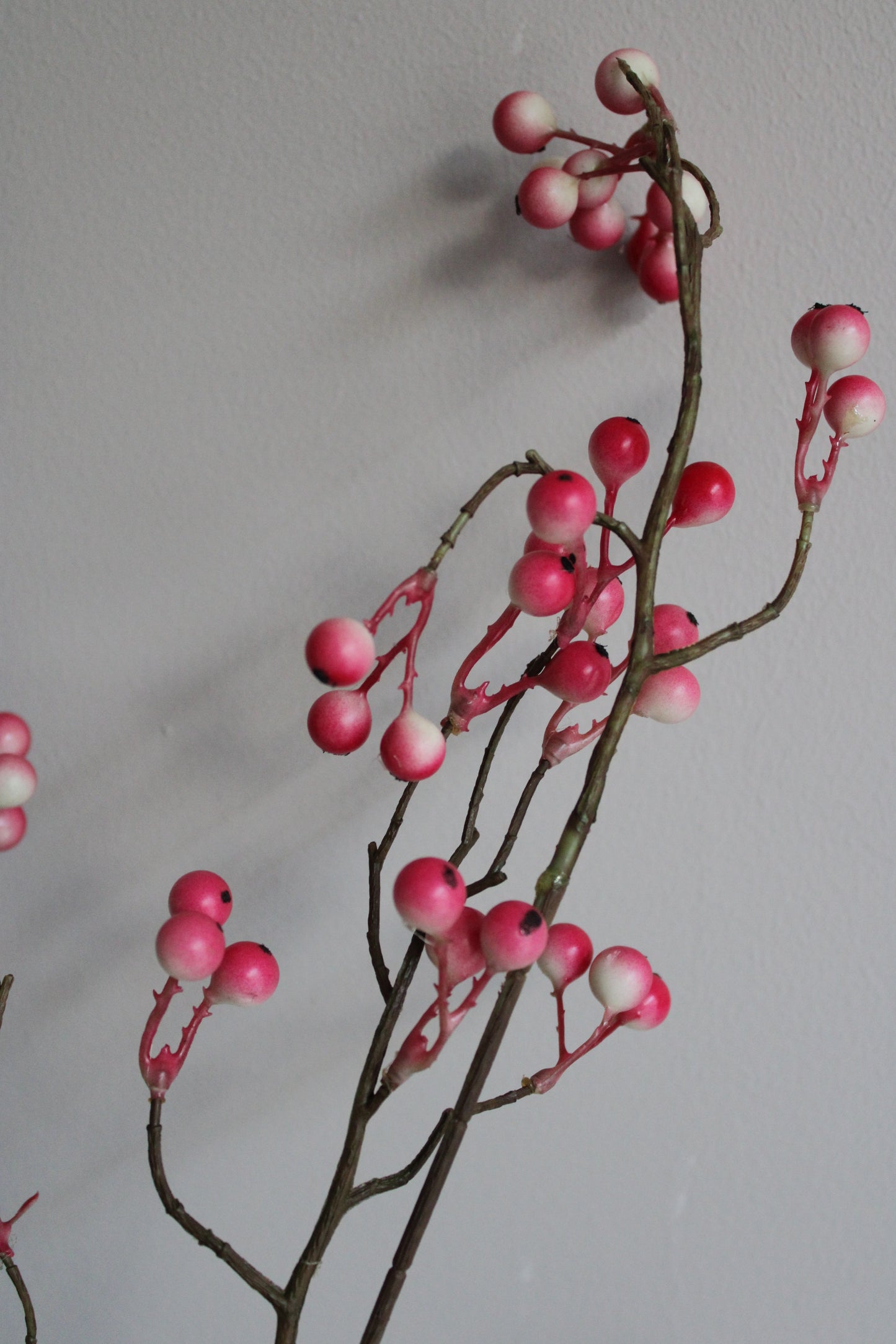 BESSENTAK FUCHSIA | XL| 120CM