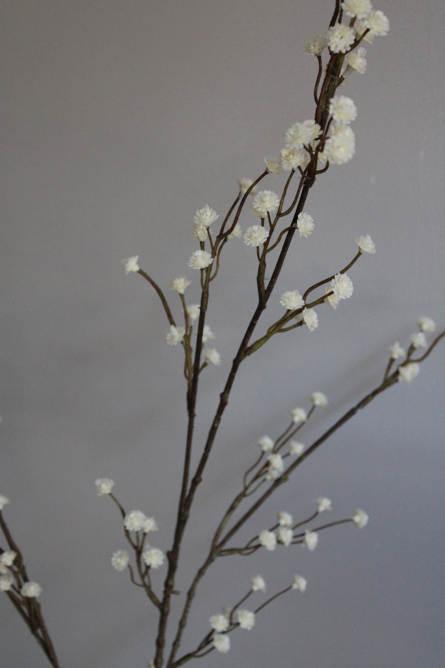 GIPS TAK | BEIGE | XL