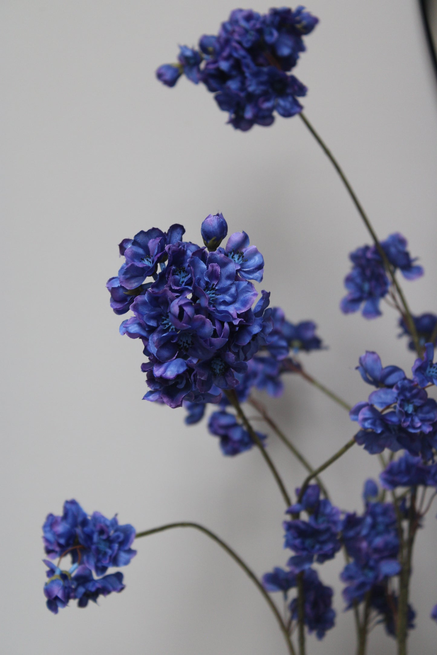 BLOESEMTAK | KOBALT | 92CM