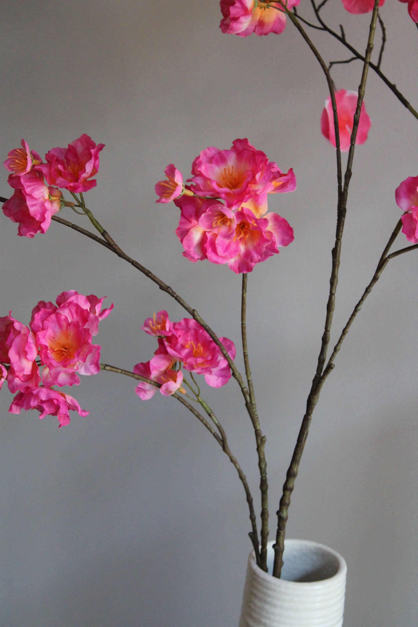 XL BLOESEM | FUCHSIA | 115 CM