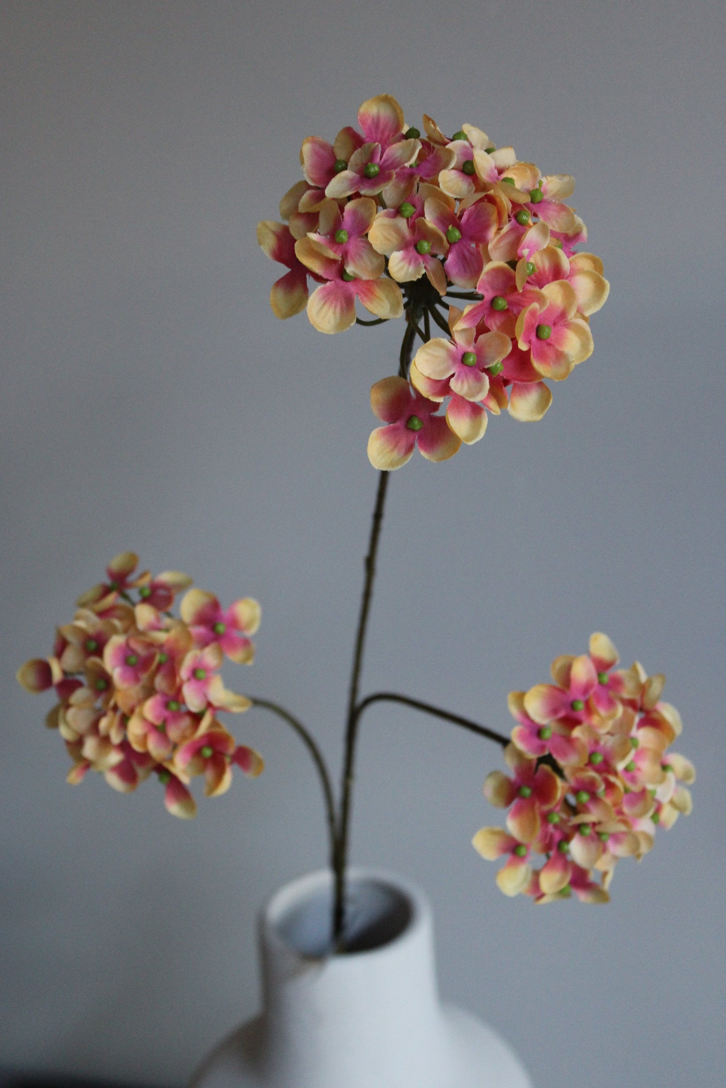 ZIJDEN TAK | HYDRANGEA | PEACH