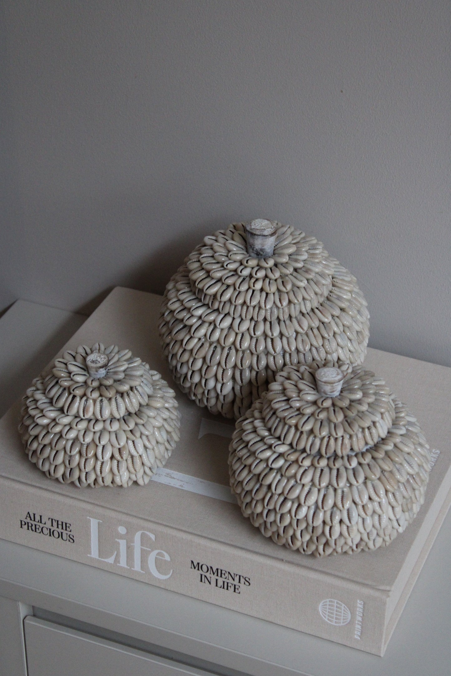 MOYO SHELL | POTJES | 3 FORMATEN