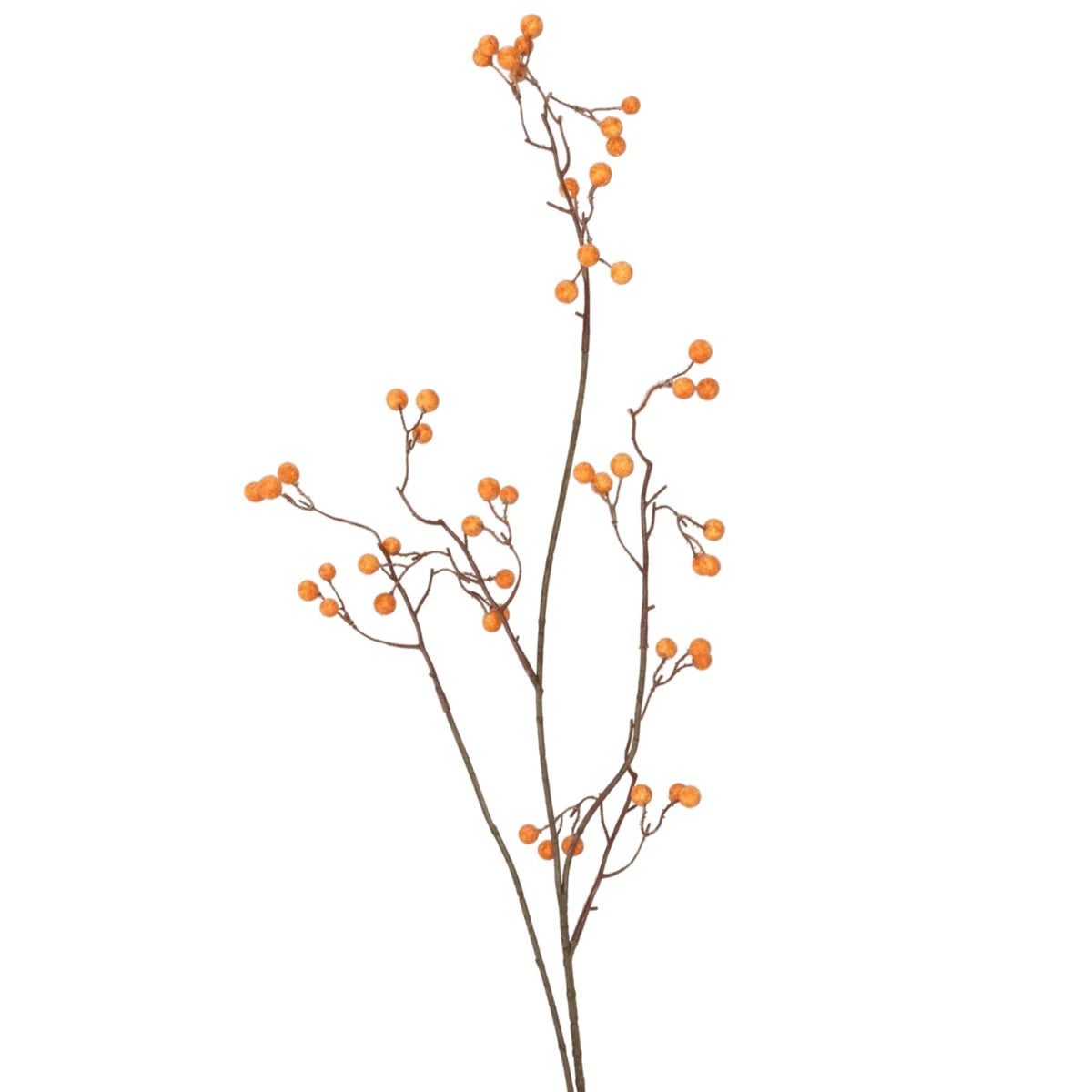 ZIJDEN TAK | BESSENTAK | ORANJE