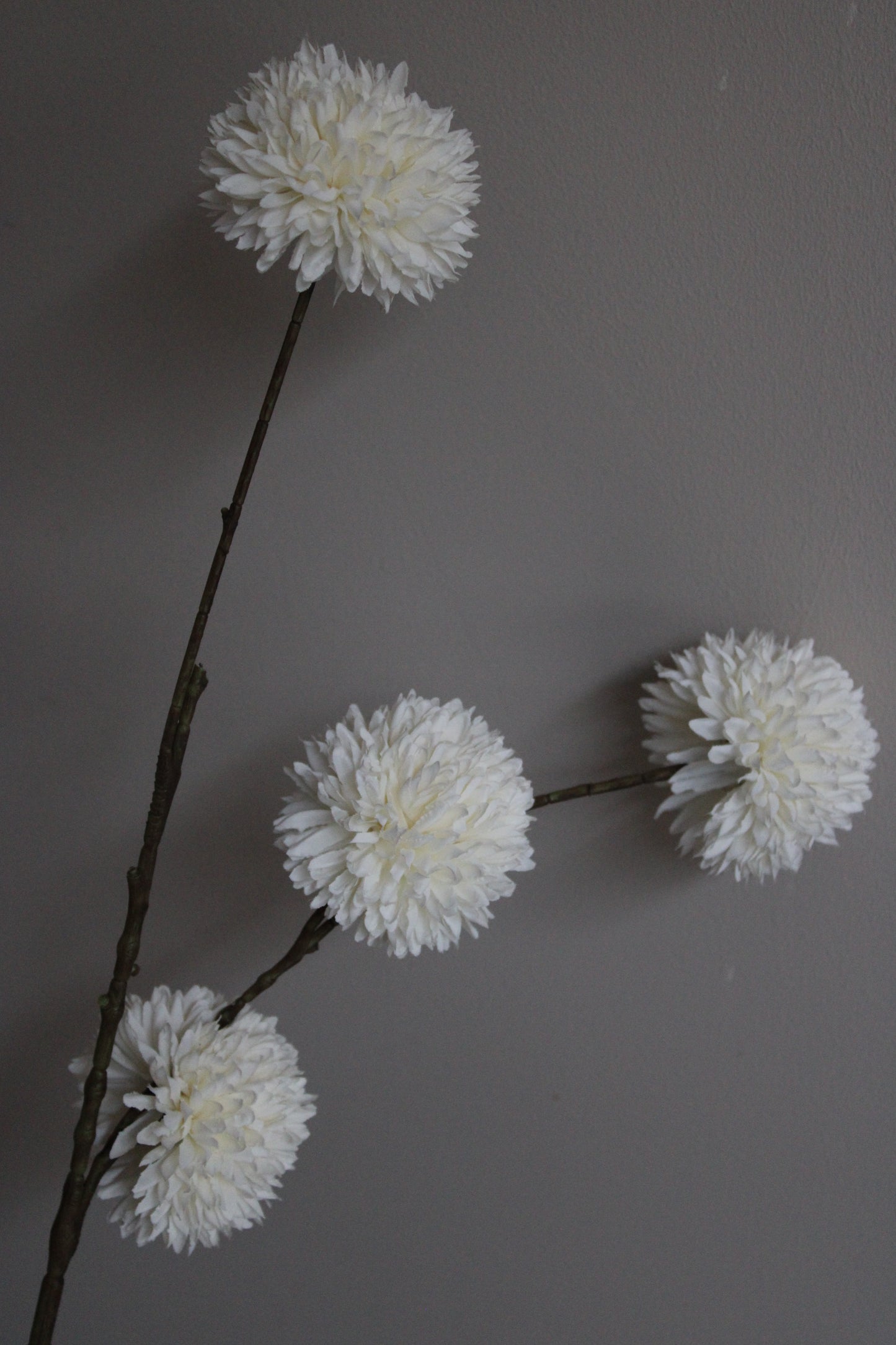 POM POM TAK | XL | WHITE