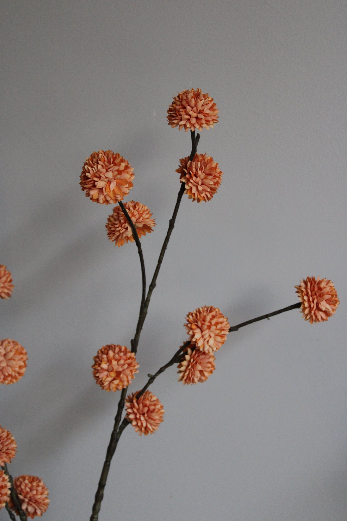 POM POM TAK | ORANGE