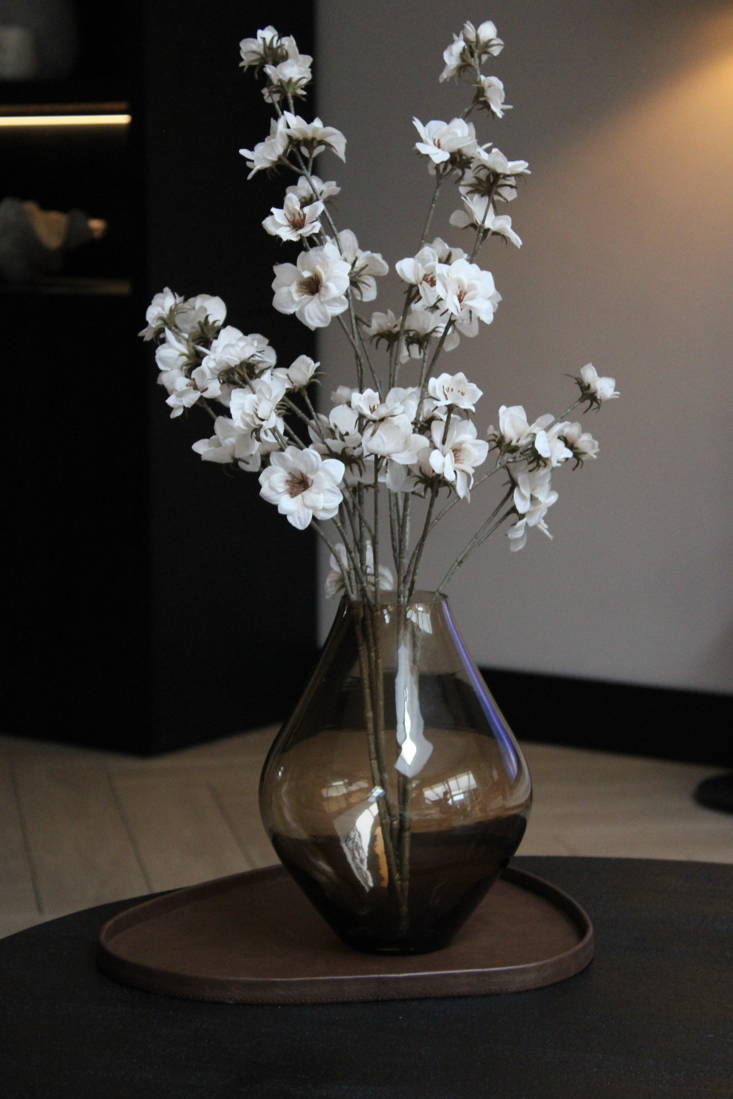 VAAS | BRUIN | TRANSPARANT