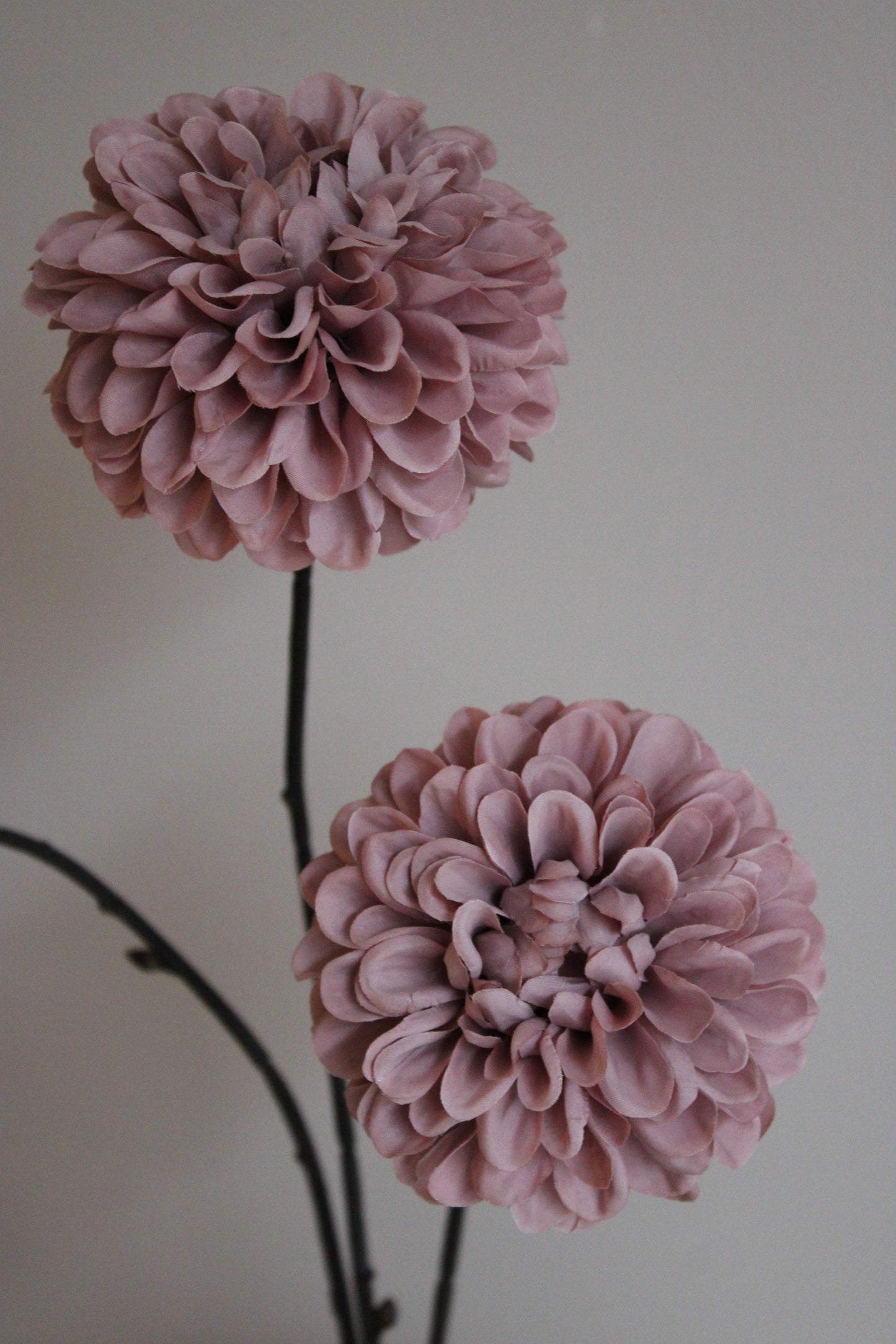 DAHLIA | OLD PINK | 75CM