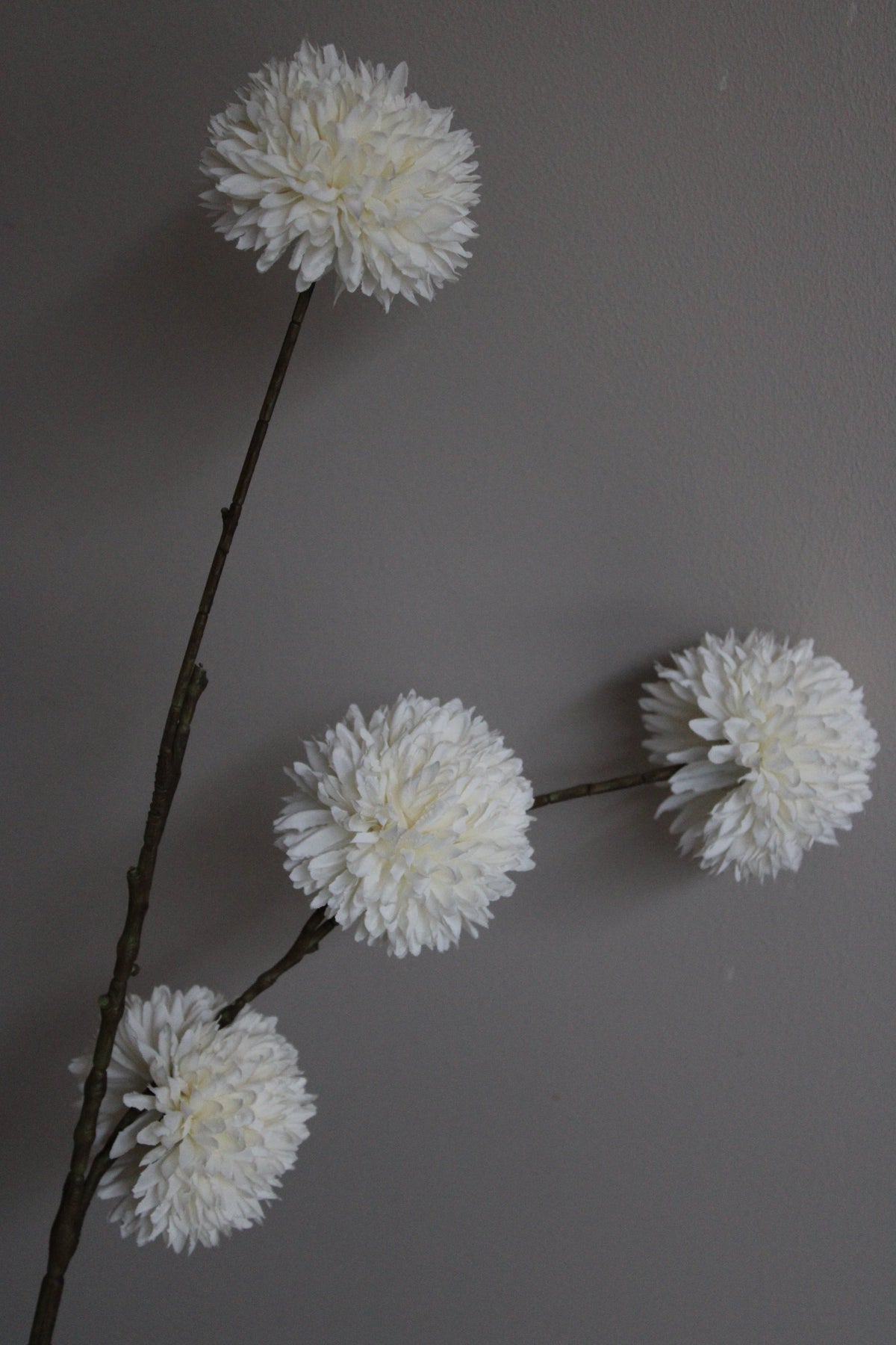 POM POM TAK | XL | WHITE