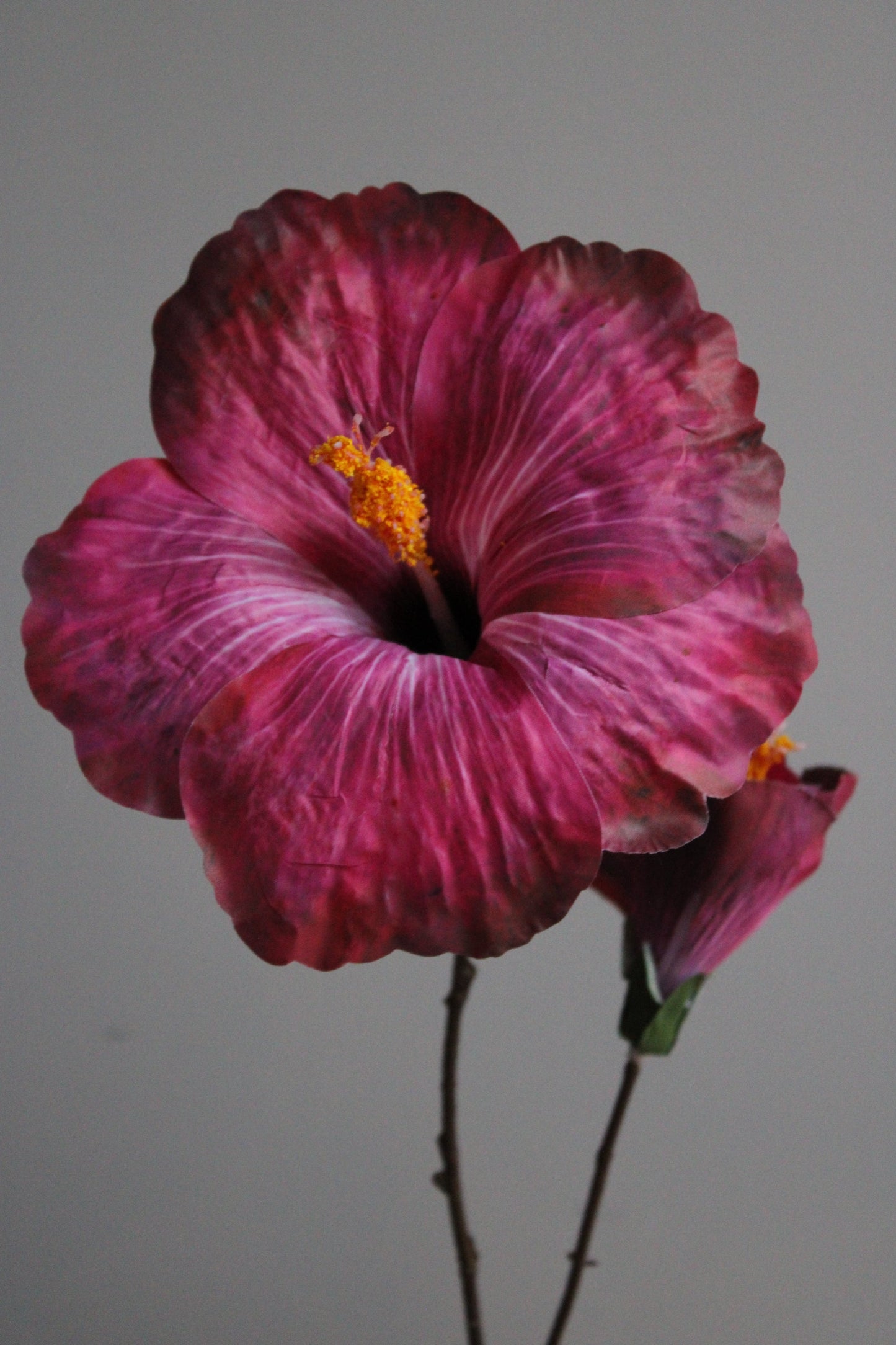 ZIJDEBLOEM | FUCHSIA | XL HIBISCUS