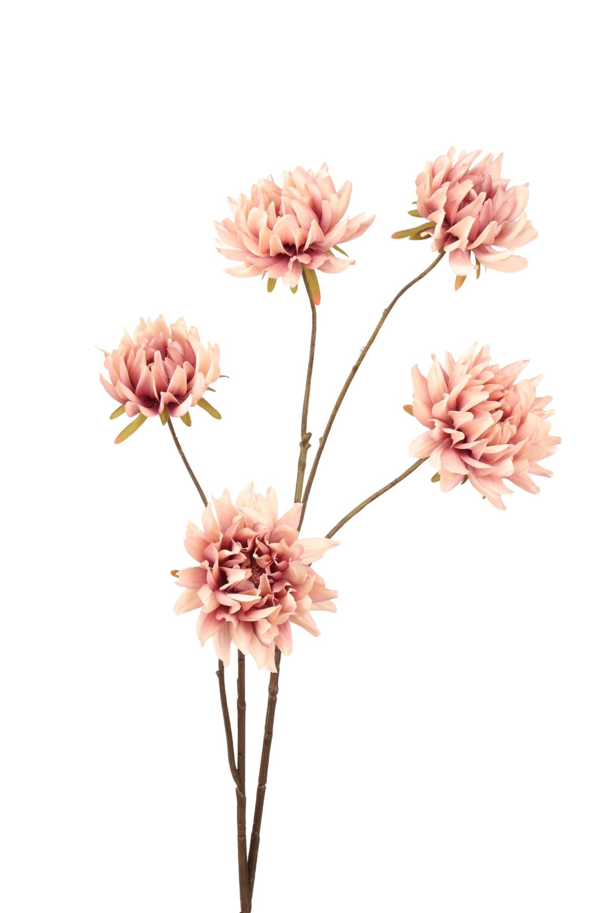 DAHLIA | MAUVE | 103CM