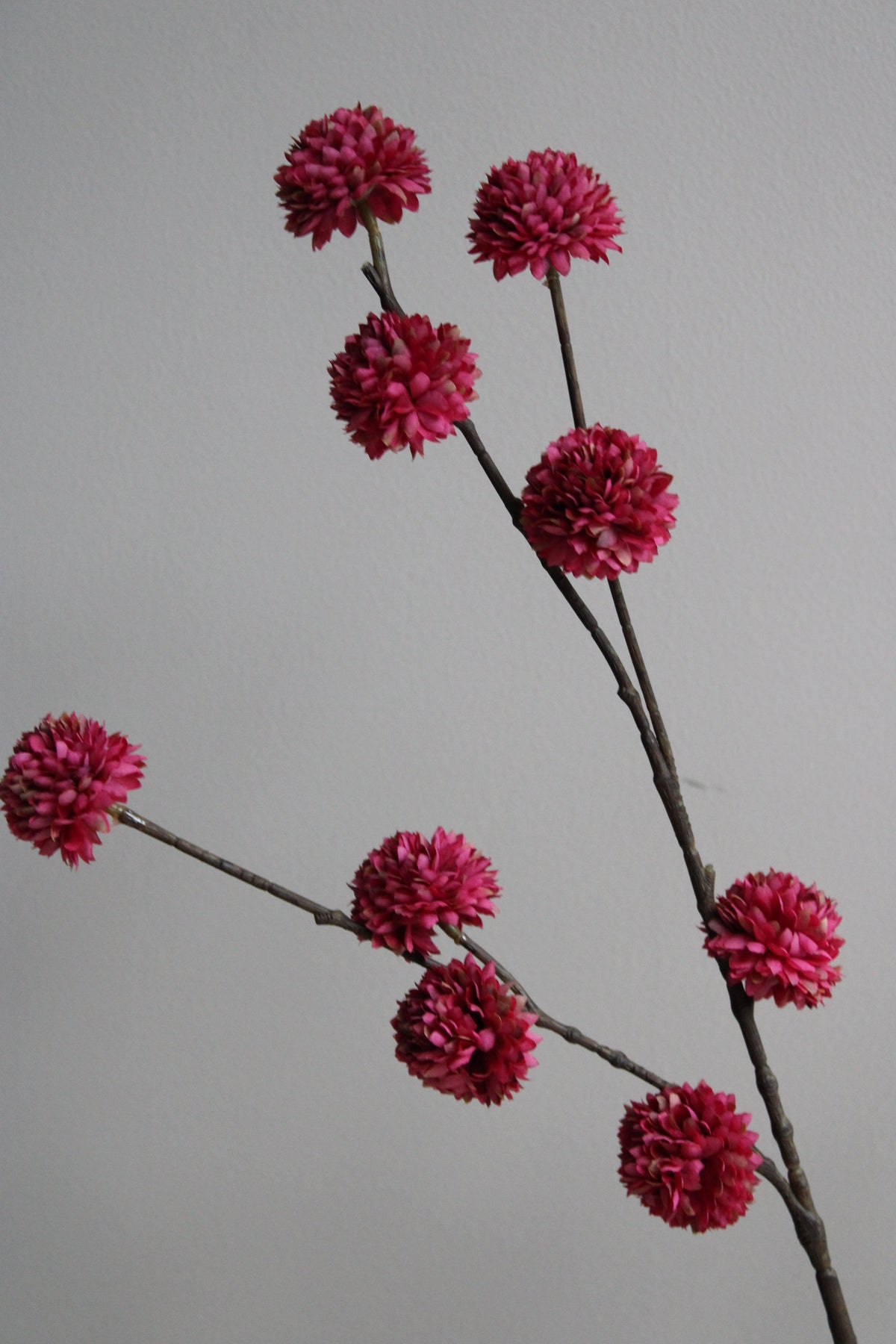 POM POM TAK | BURGUNDY | 100CM