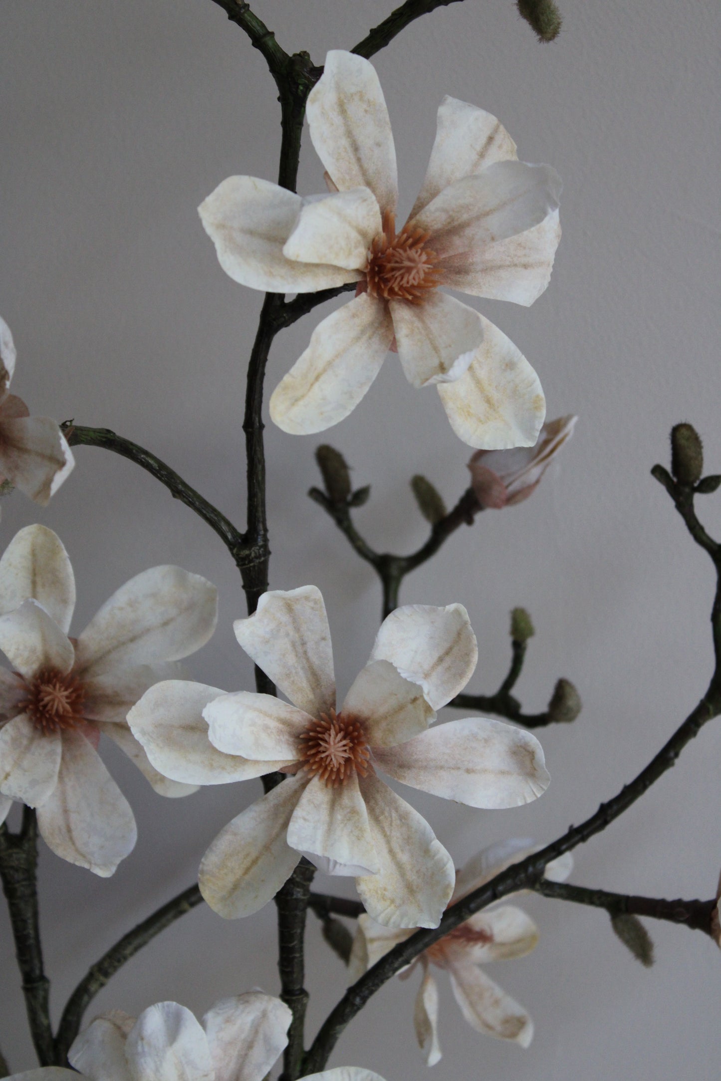 MAGNOLIA TAK | BEIGE | XL