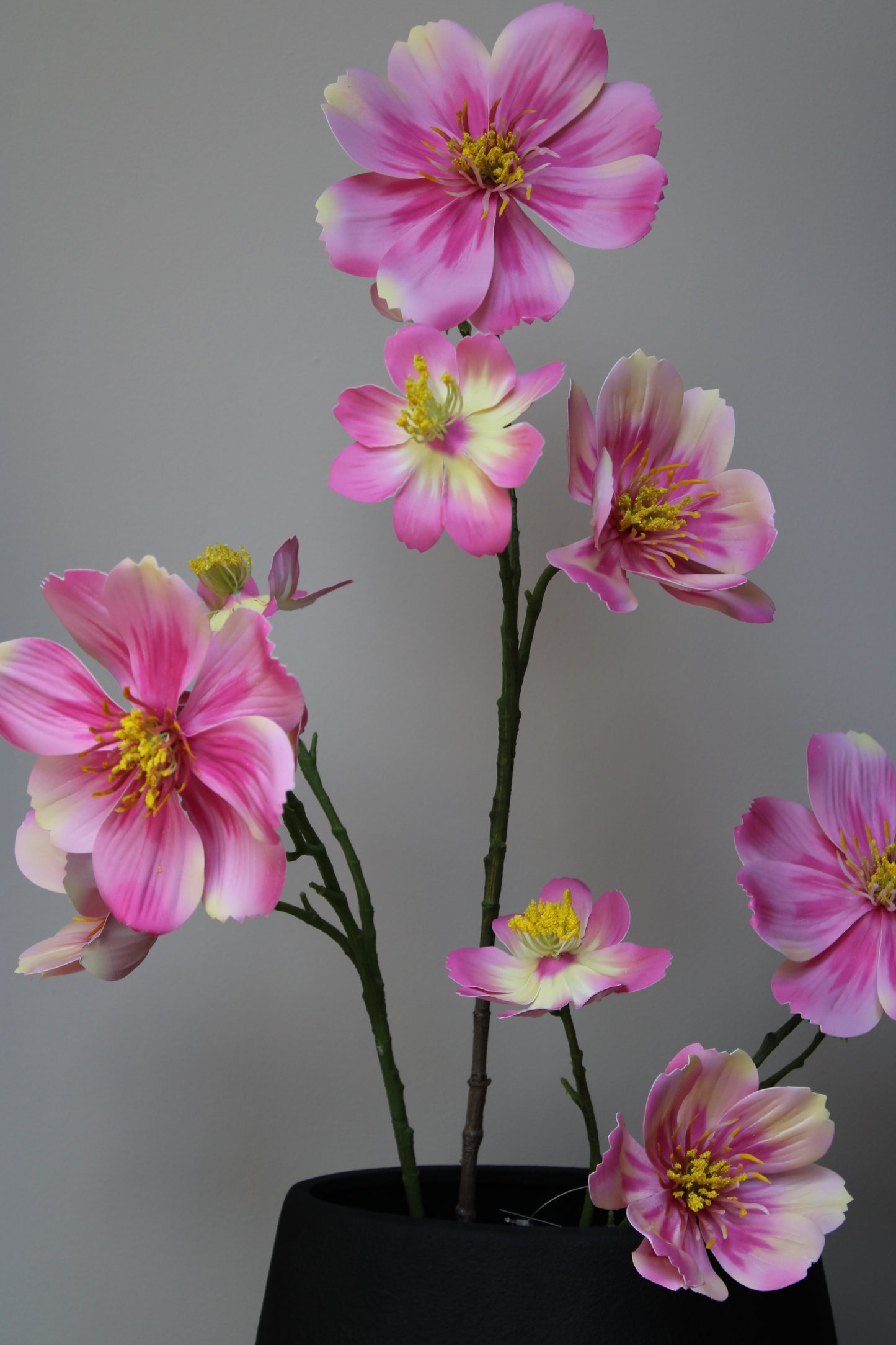 ZIJDEBLOEM COSMOS | ROZE | 105CM
