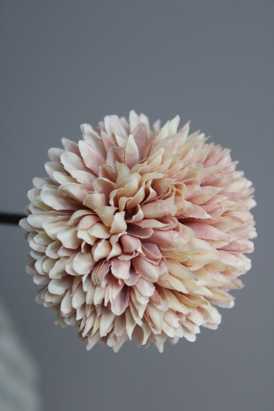POM POM TAK | CHAMPAGNE | 78CM