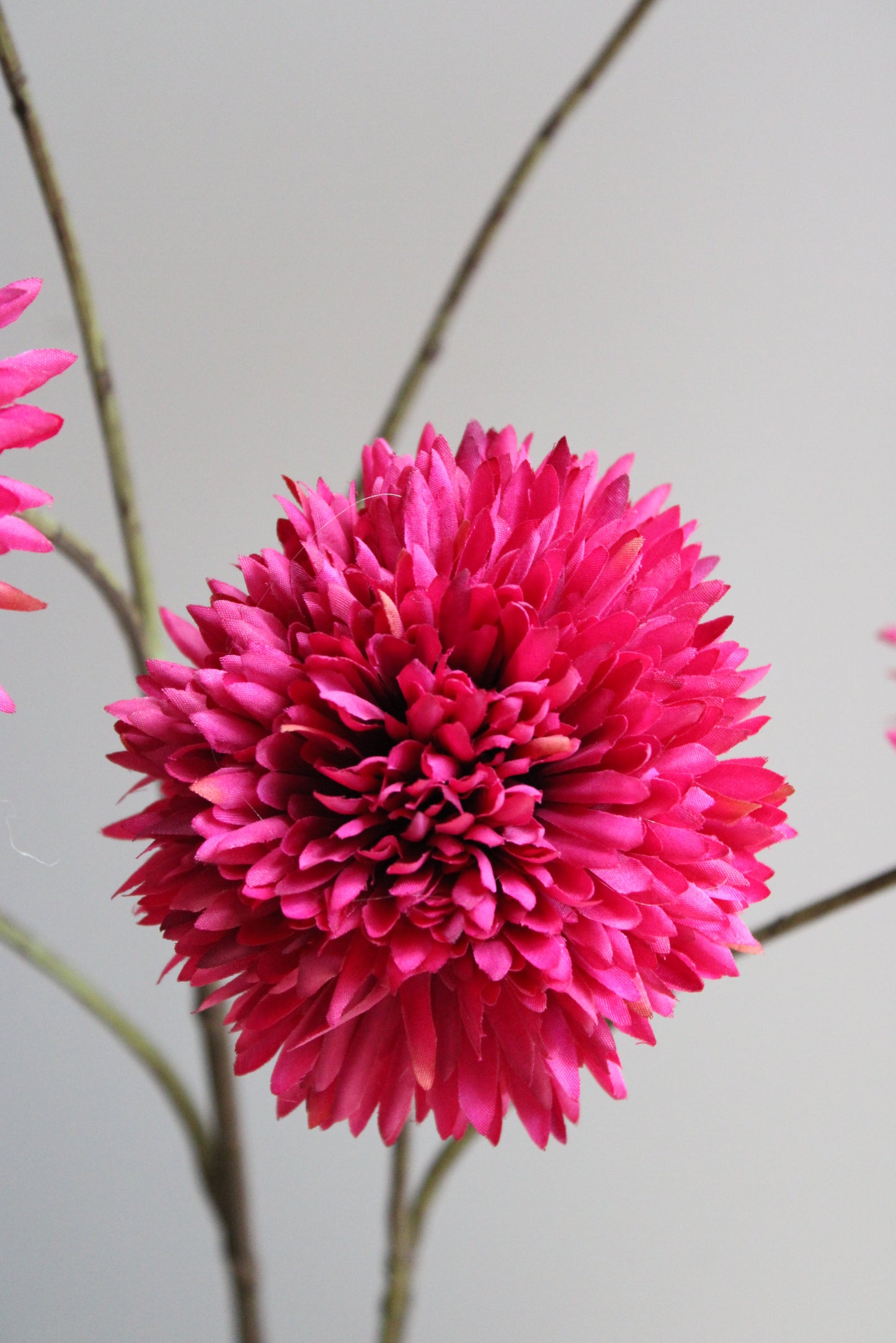 POM POM TAK | GIANT | FUCHSIA | 108CM