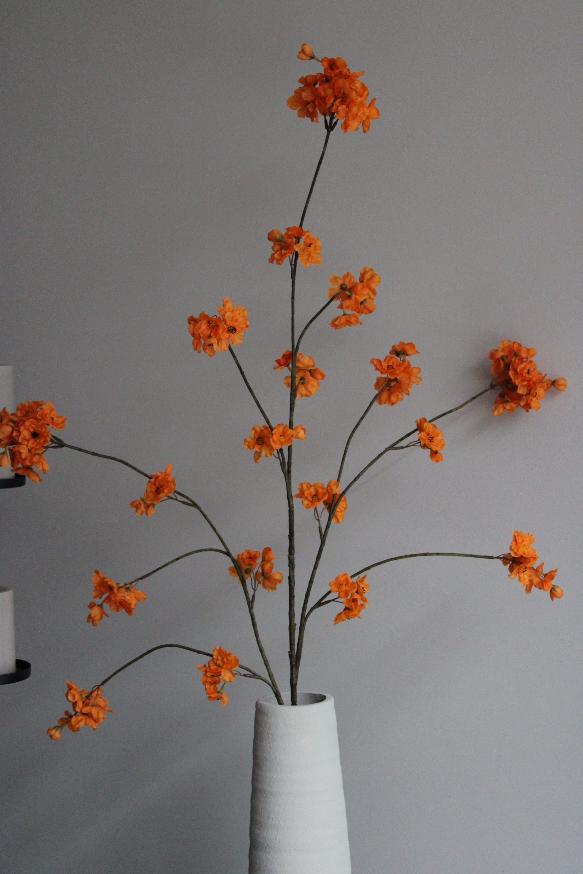 XL  BLOESEMTAK | ORANJE | 126CM