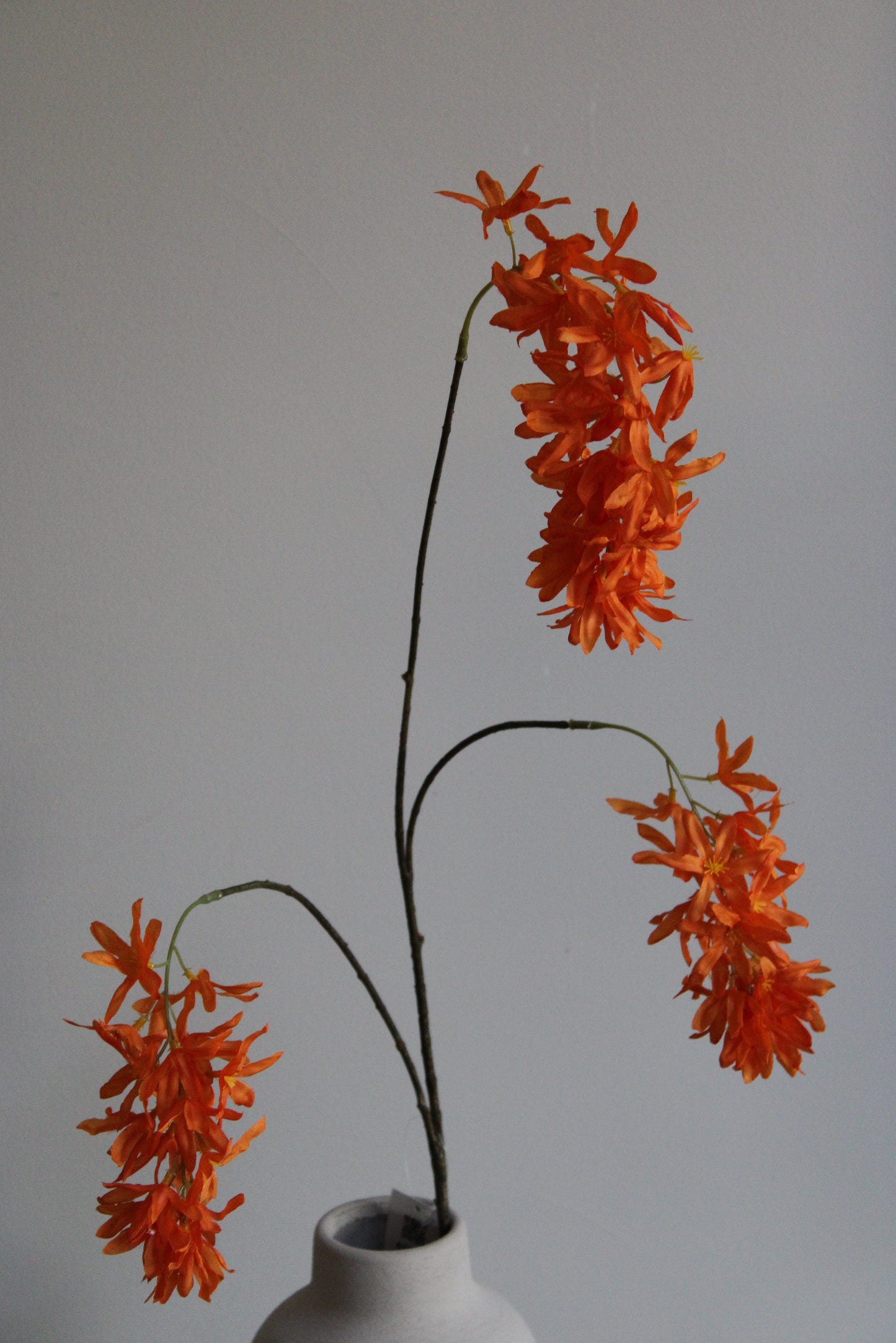 ZIJDEN TAK | WISTERIA | ORANJE