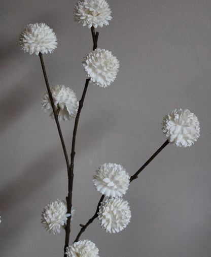 POM POM TAK | WHITE
