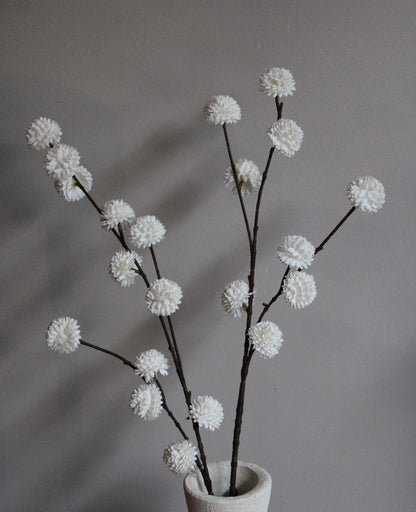 POM POM TAK | WHITE