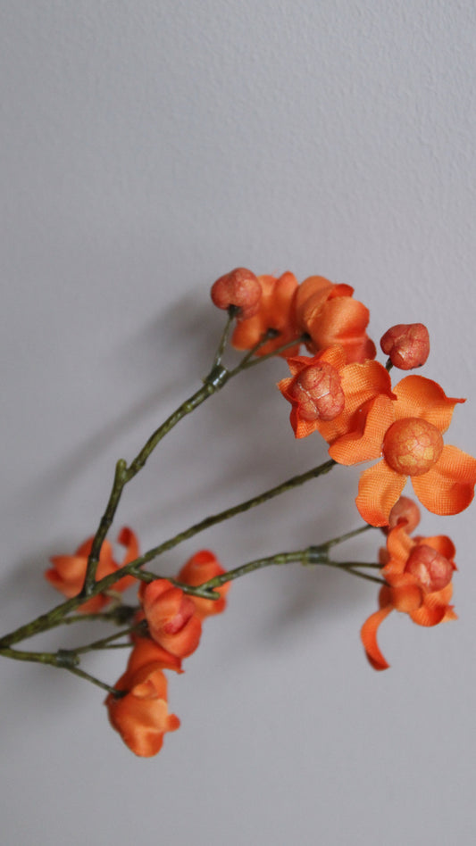 BESSENTAK | ORANJE