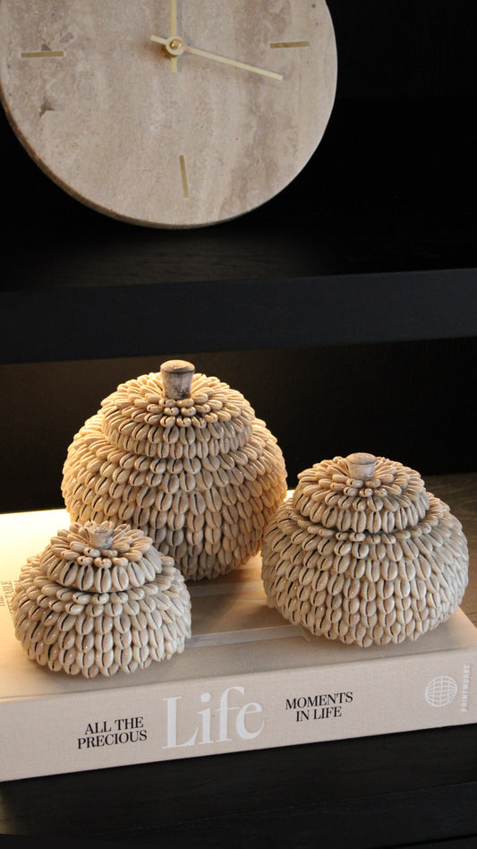 MOYO SHELL | POTJES | 3 FORMATEN