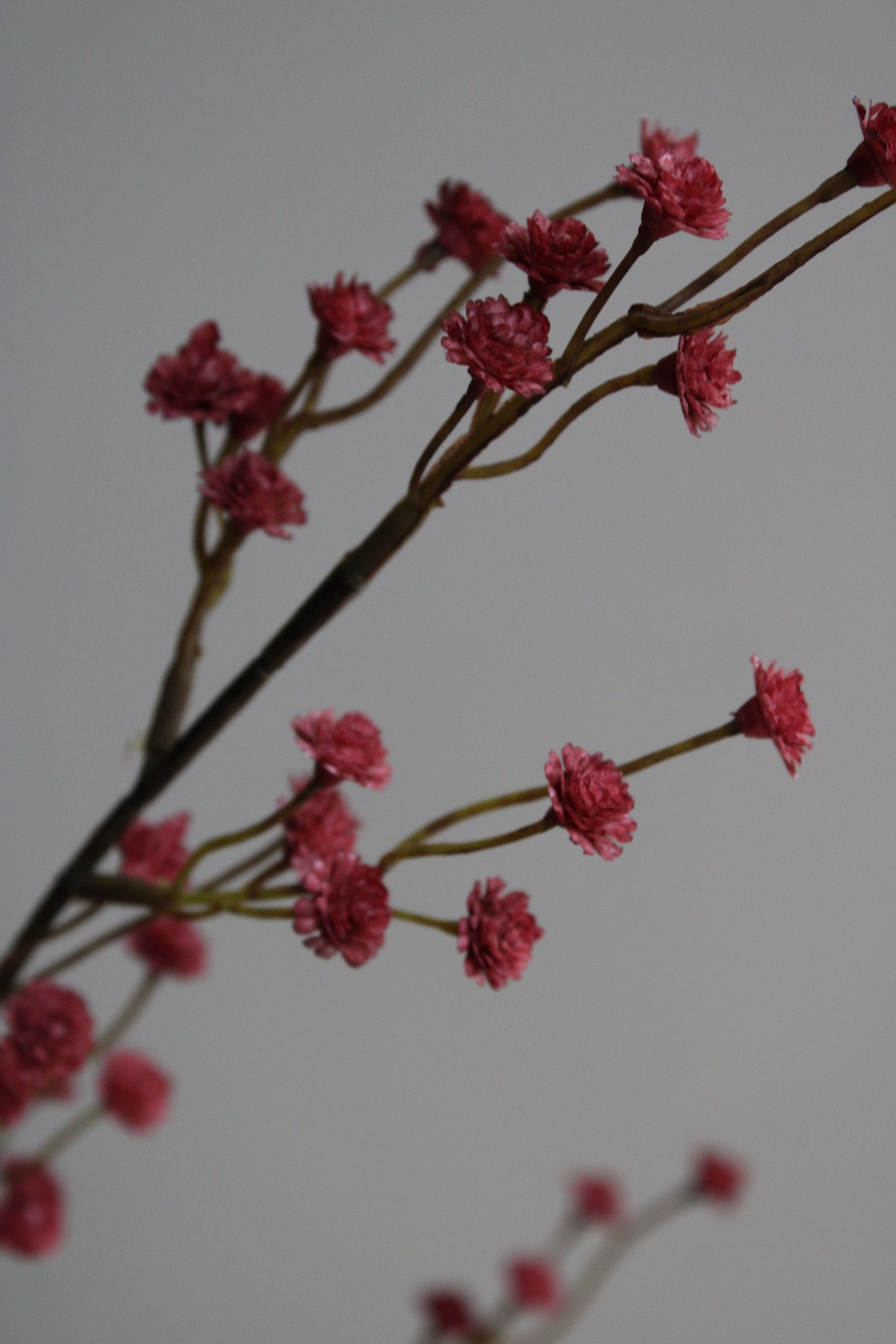 GIPS TAK | BURGUNDY | 115CM