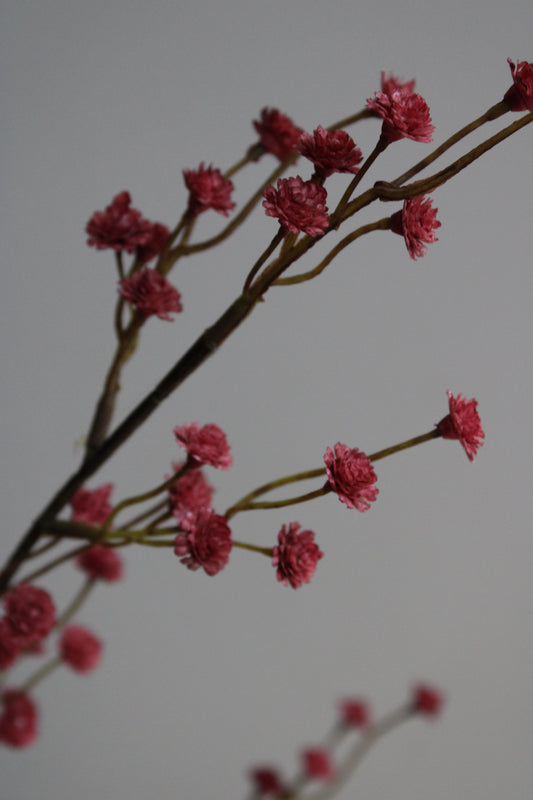 GIPS TAK | BURGUNDY | 115CM