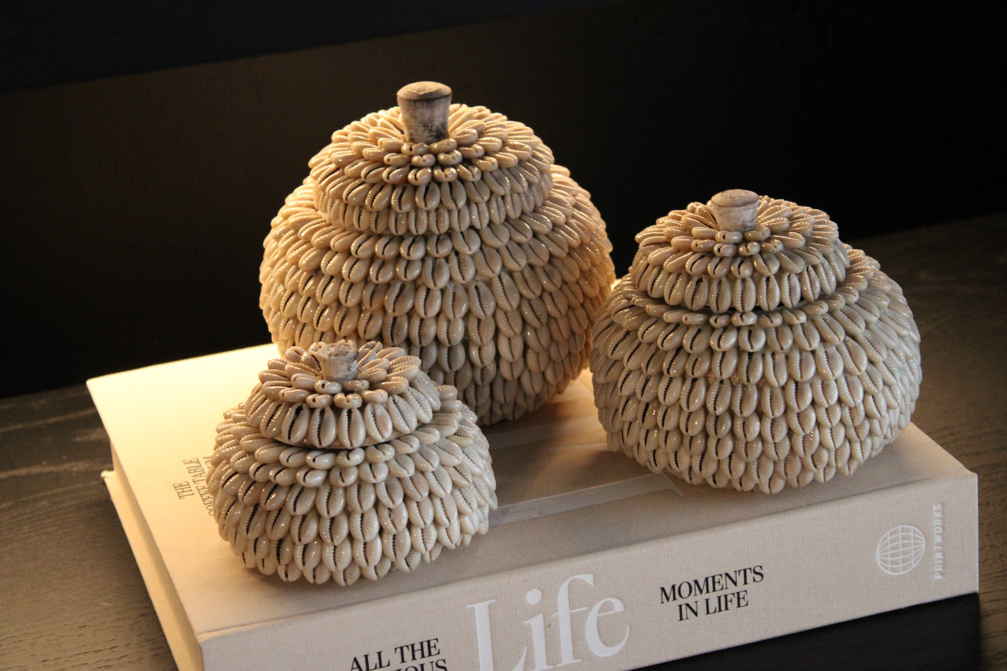 MOYO SHELL | POTJES | 3 FORMATEN