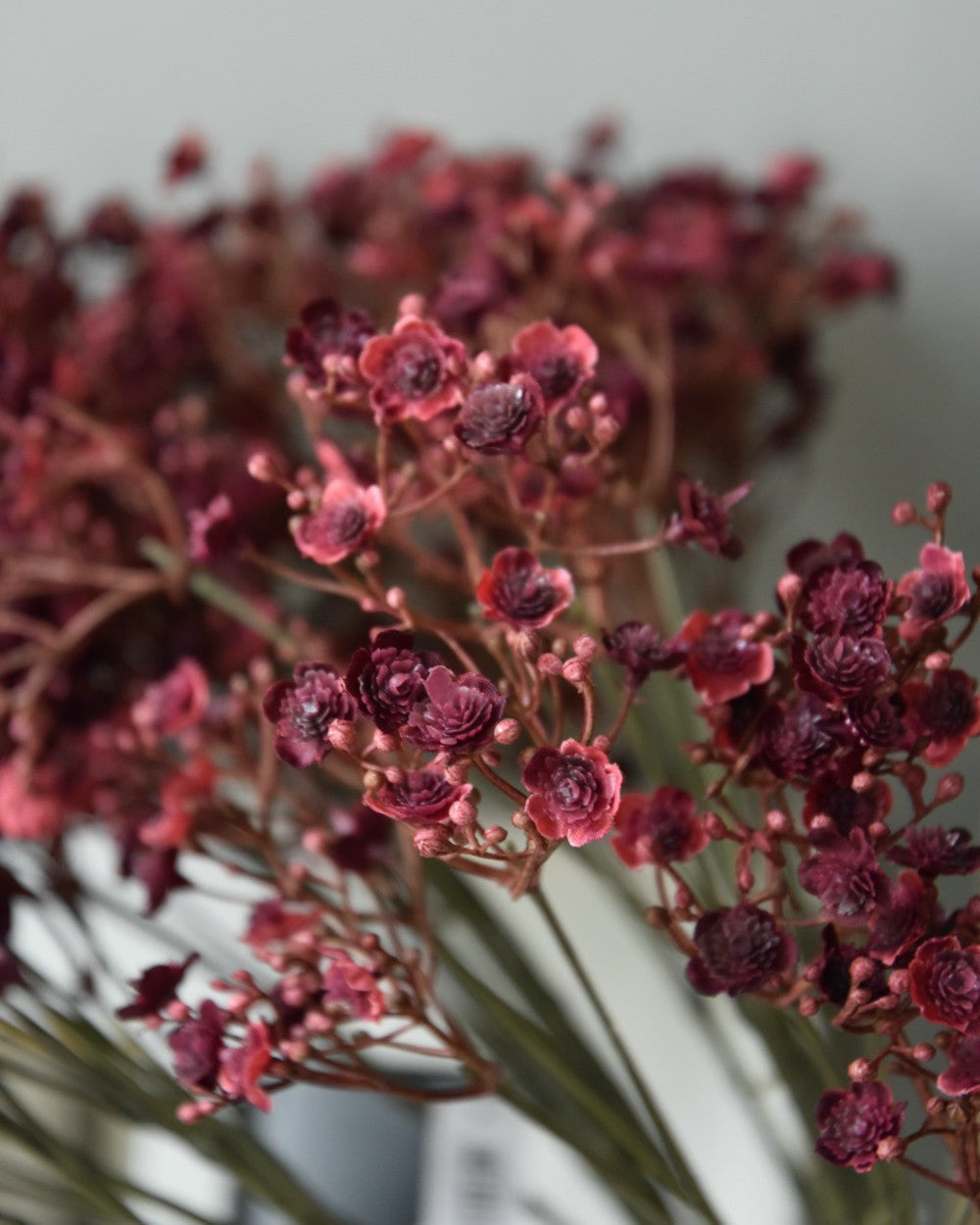 GYPSOPHILA | BURGUNDY