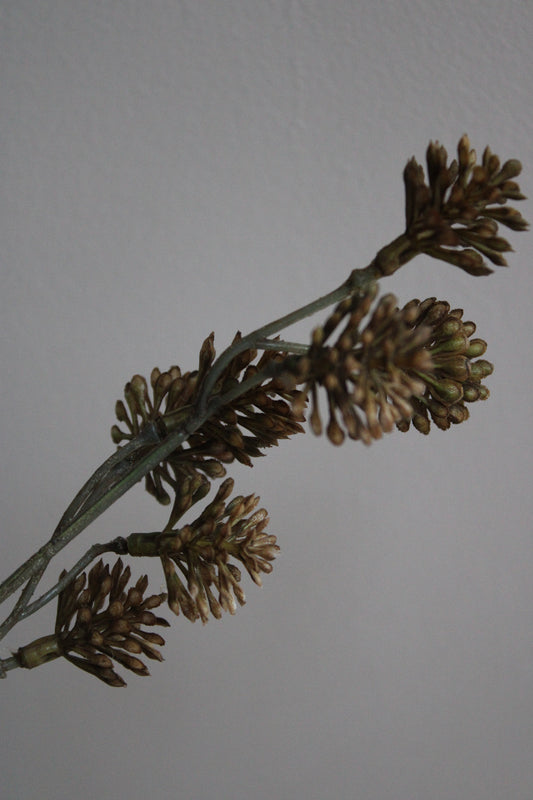 POM POM TAK | BRUIN/GOUD | 95CM