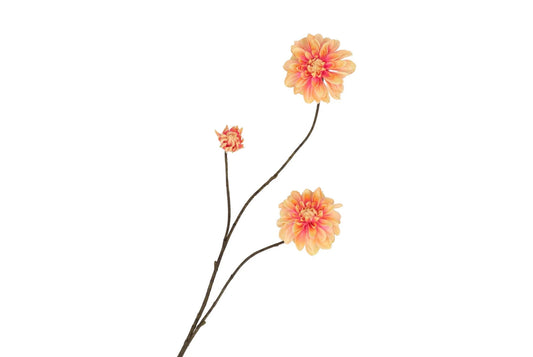 ZIJDEBLOEM | DALIA | PEACH