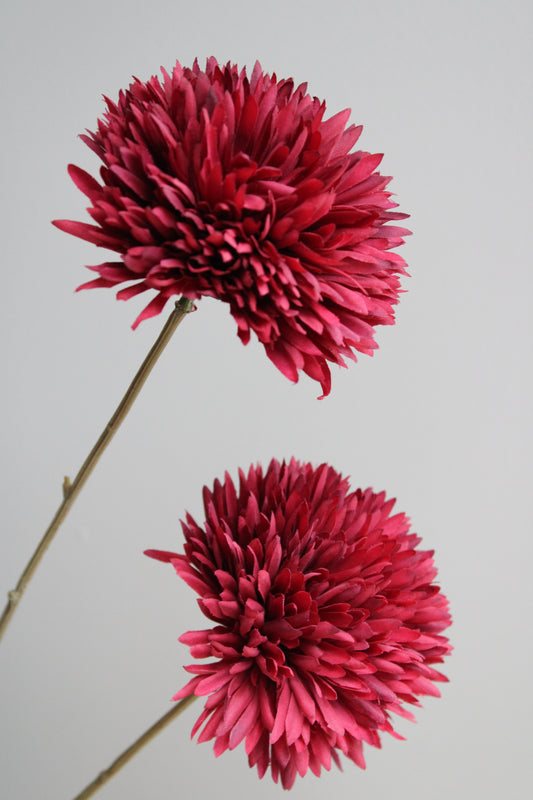 POM POM TAK | GIANT | BURGUNDY | 108CM