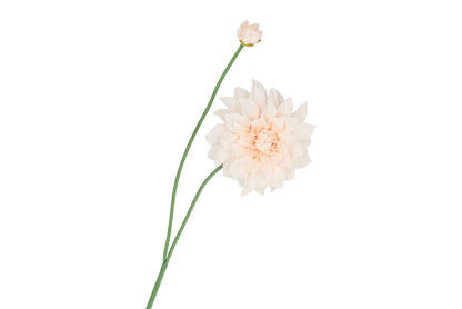 DALIA | BEIGE | 78CM