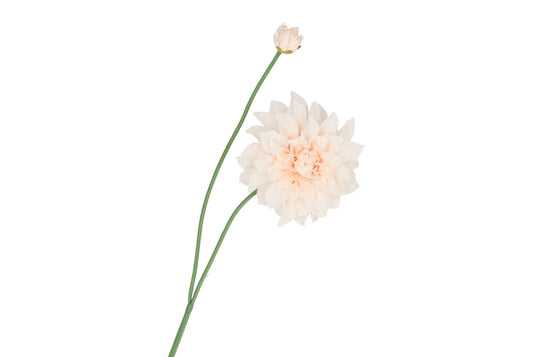 DALIA | BEIGE | 78CM