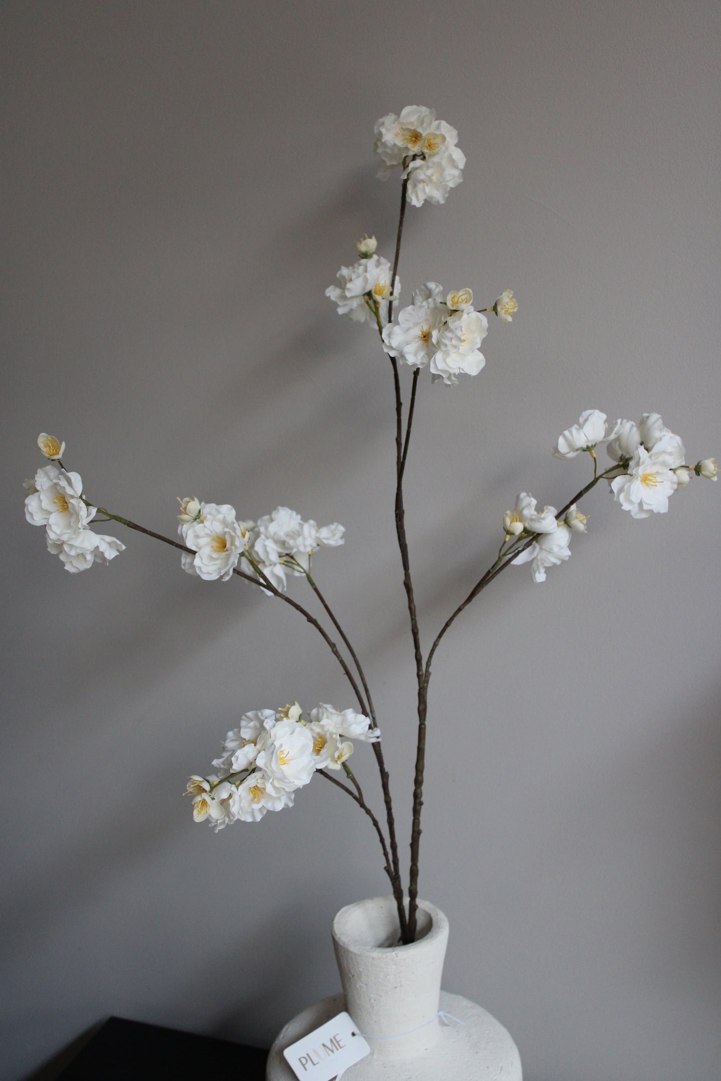 CRÈME BLOESEM | XL| 115CM