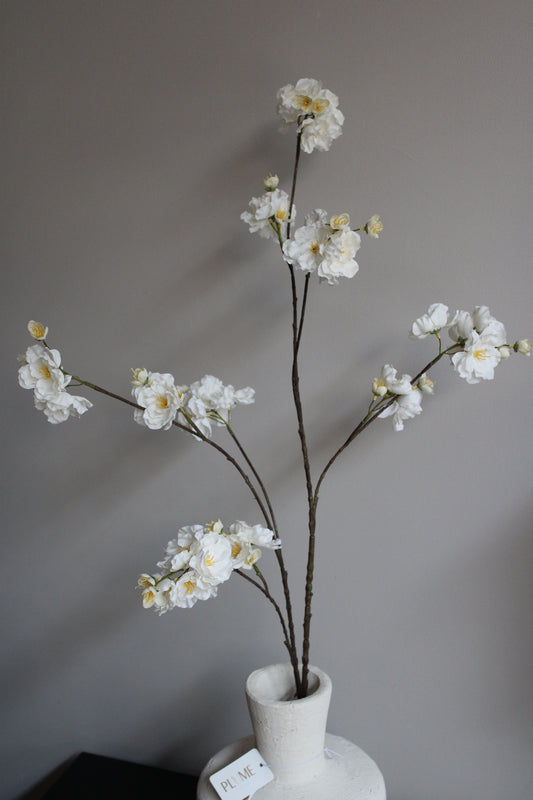 CRÈME BLOESEM | XL| 115CM