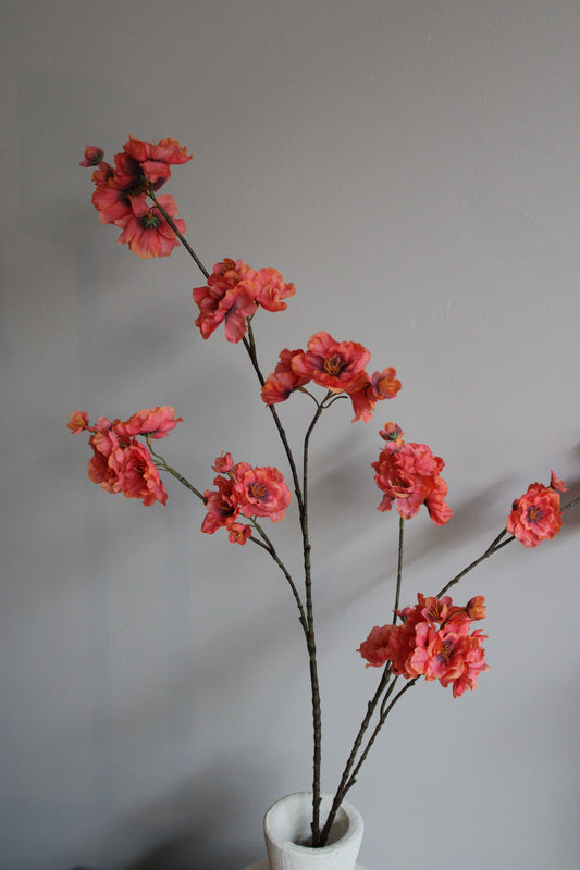 ORANJE BLOESEM | XL| 115CM
