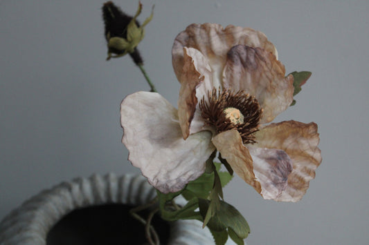 POPPY | TAUPE | 85CM