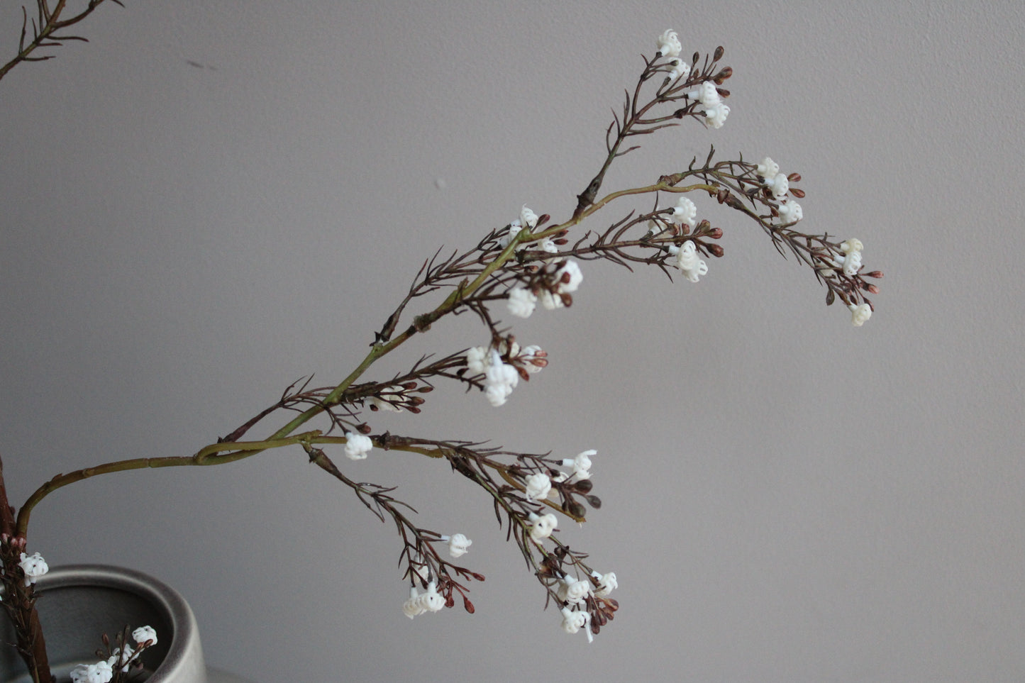 KUNSTTAK | GIPS | BEIGE