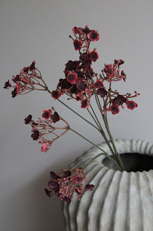 GYPSOPHILA | BURGUNDY