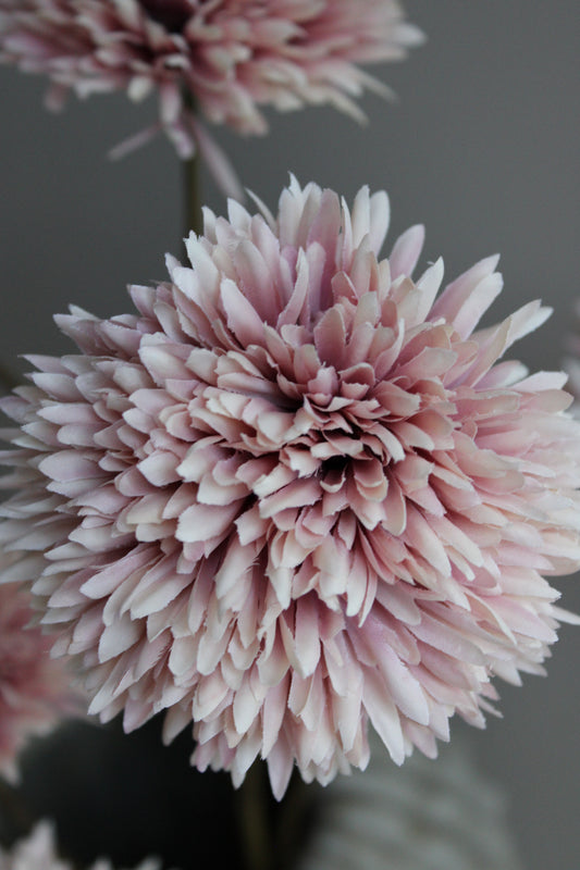 POM POM TAK | GIANT | CHAMPAGNE | 108CM