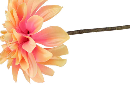 ZIJDEBLOEM | DALIA | PEACH